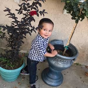 Meet your Posher, Janet